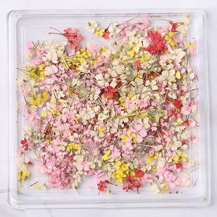Tiny Dried Flowers - Style 01