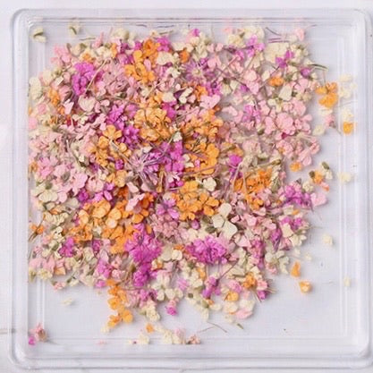 Tiny Dried Flowers - Style 03