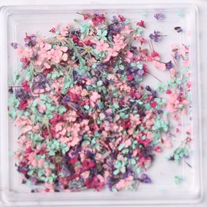 Tiny Dried Flowers - Style 04