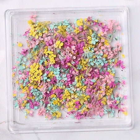 Tiny Dried Flowers - Style 05