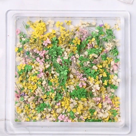 Tiny Dried Flowers - Style 02