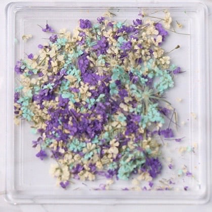 Tiny Dried Flowers - Style 06