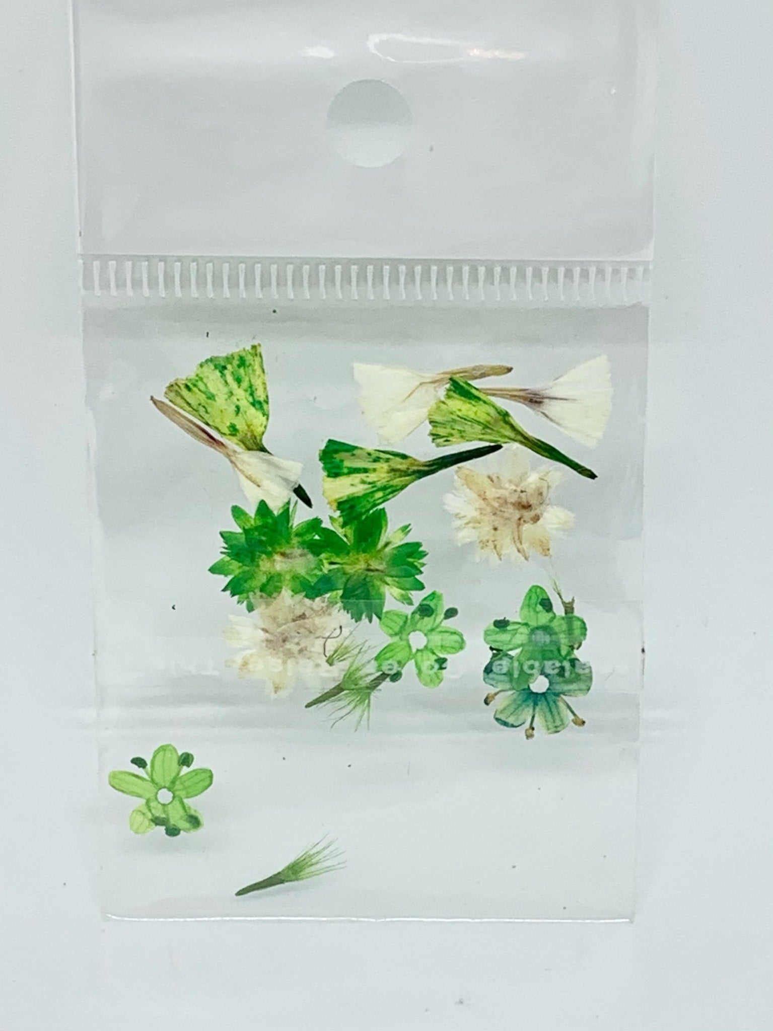 Dried Flowers - Mix Pack