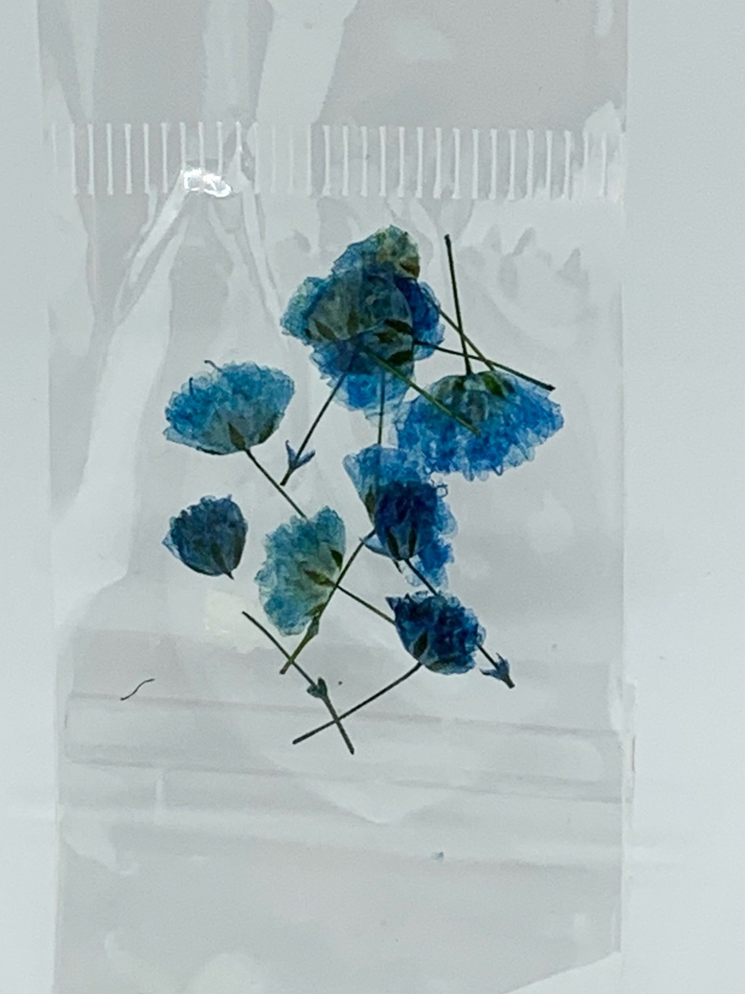 Dried Flowers - tiny Italian rose