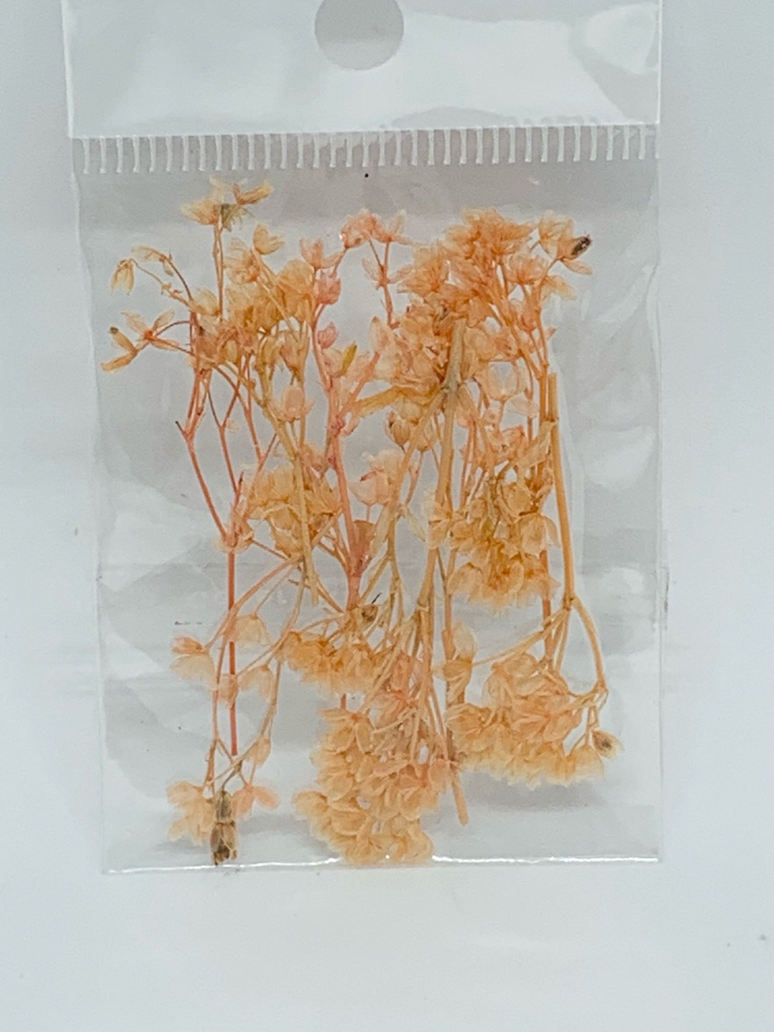 Dried Flowers - small branch flowers