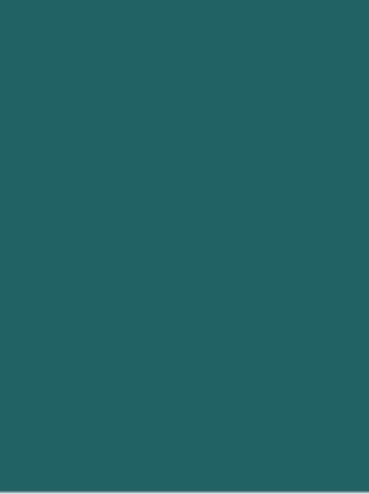 Apron -Dark Teal