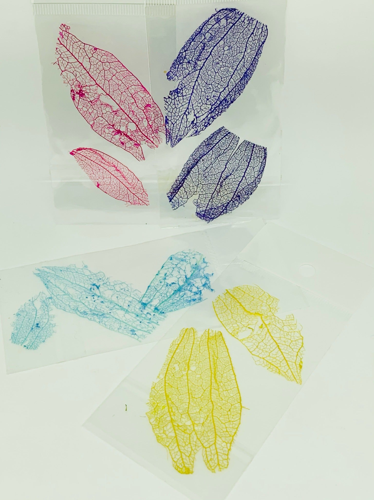 Dried Flowers - Large Leaf