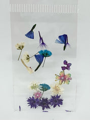 Dried Flowers - Mix Pack