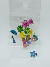 Dried Flowers - Mix Pack