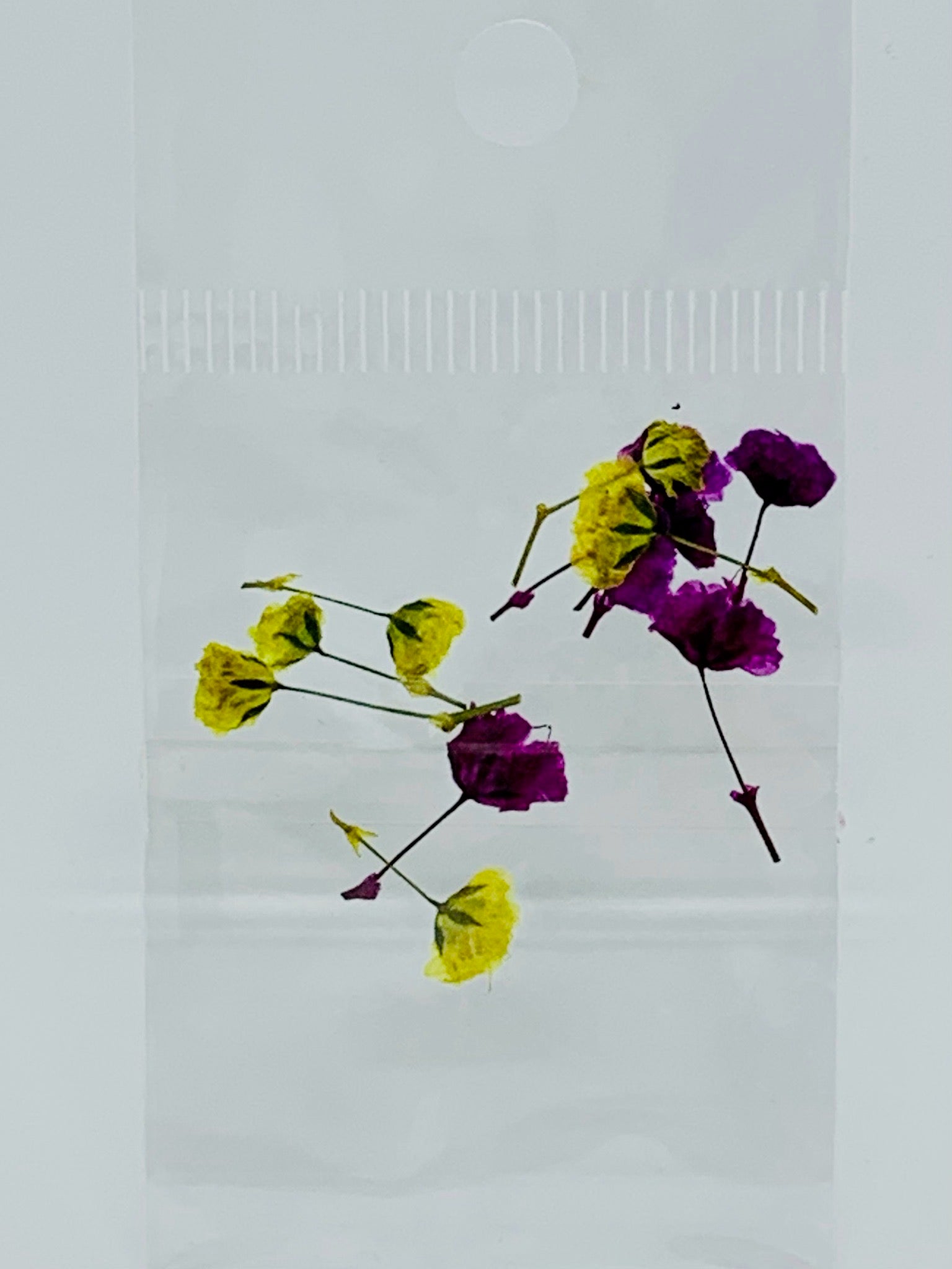 Dried Flowers - tiny Italian rose