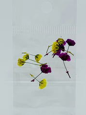 Dried Flowers - tiny Italian rose