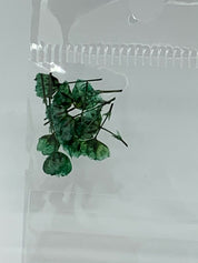 Dried Flowers - tiny Italian rose
