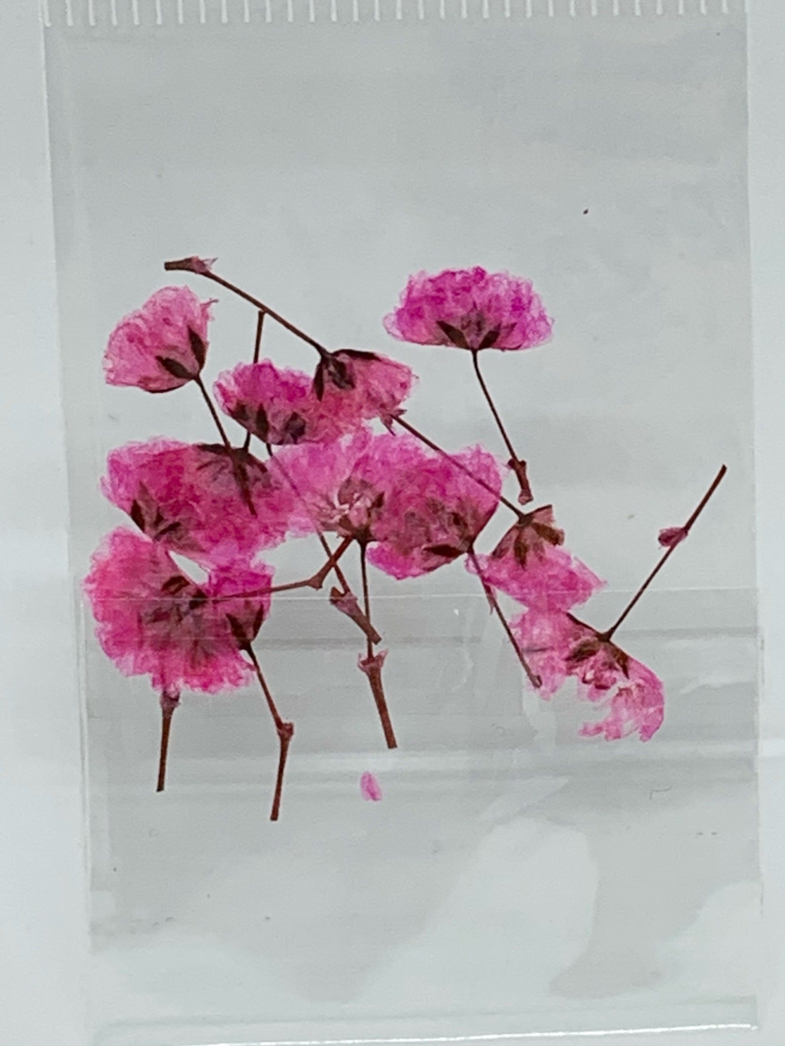 Dried Flowers - tiny Italian rose