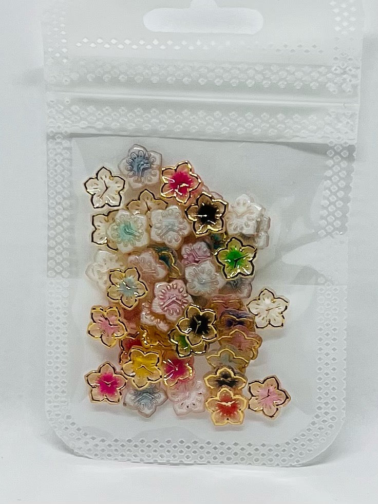 Charm Number 224
