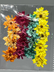 Dried Flowers - Daisy
