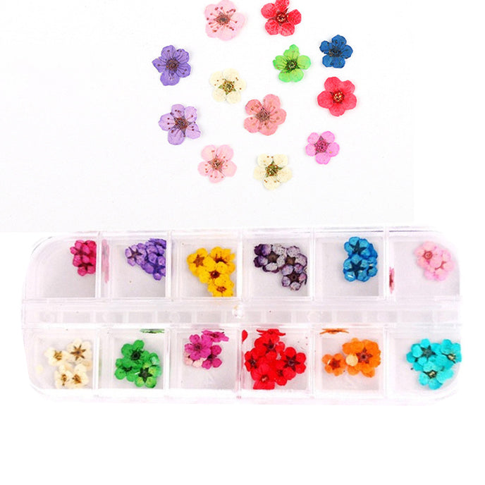 Dried Flower Box